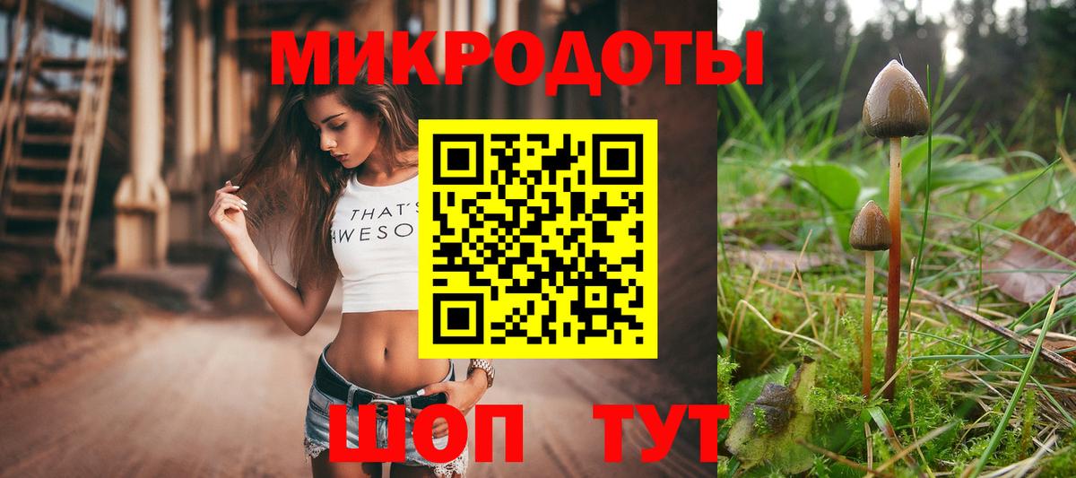 Псилоцибиновые грибы Psilocybe Волжск
